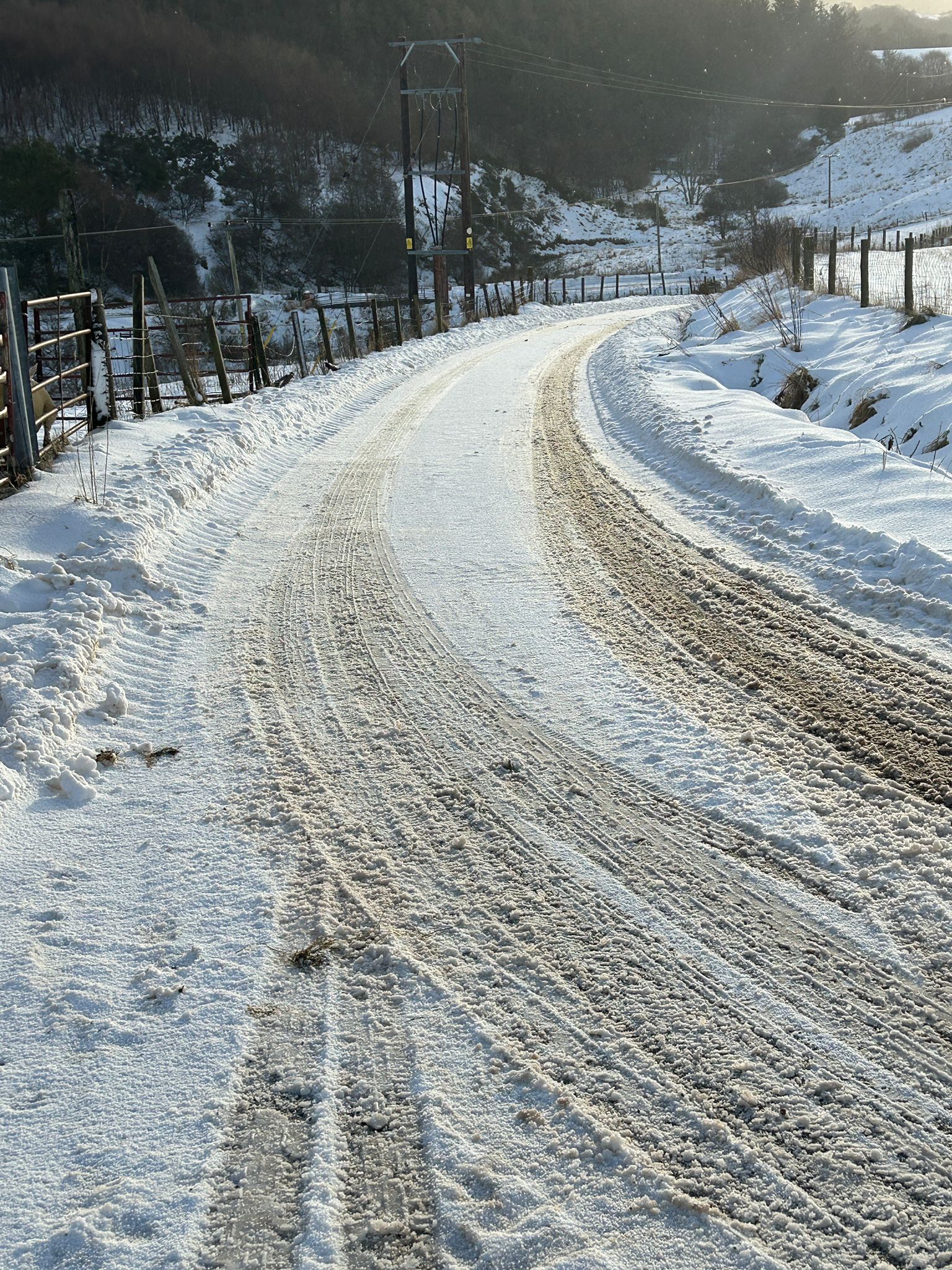 snow photo